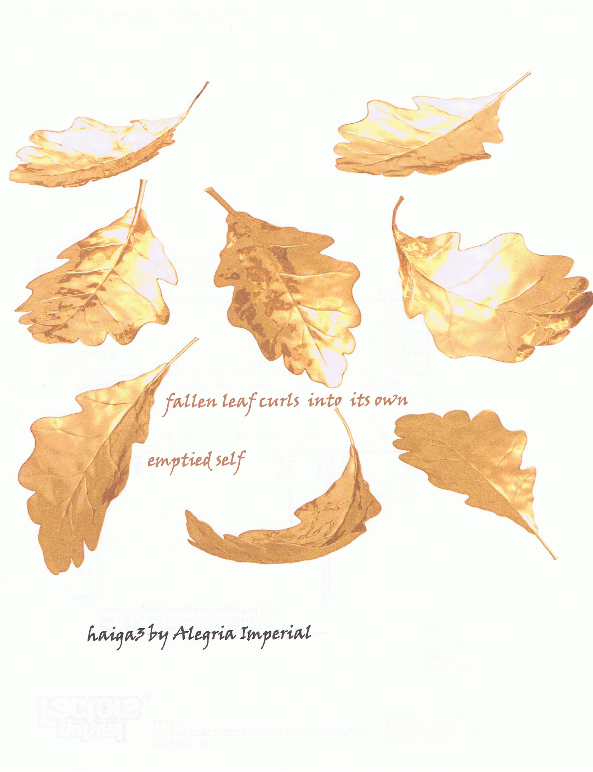 Fallen Leaf For Svetlana Haiga3 For 19 Planets Art Blog Challenge Jornales